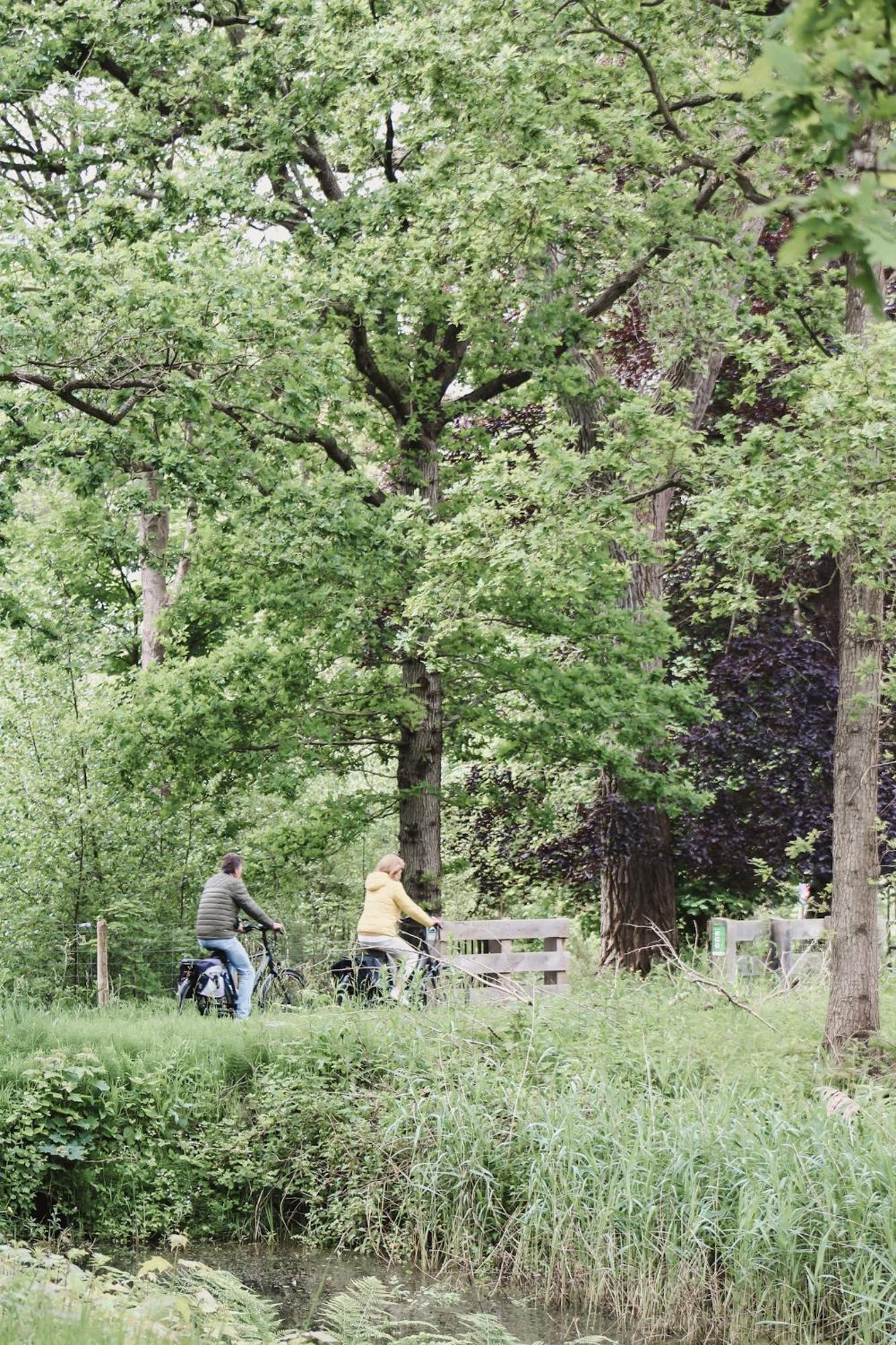 Zoomers Aan Het Bos Castricum Zewnętrze zdjęcie